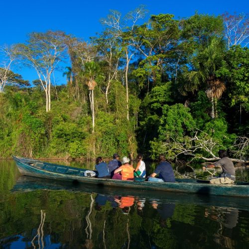 exotic-Peruvian-Amazon-1